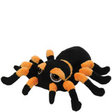 Suki - Medium Orange & Black Spindra Tarantula