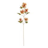 Orange Caper Flower (109cm)