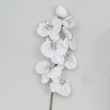 White Glitter Phalaenopsis (75cm)