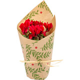 Festive Foliage Kraft Paper (50cm x 100m) - Discontinued