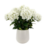 Real Touch White Hydrangea in Ceramic Pot (71cm)
