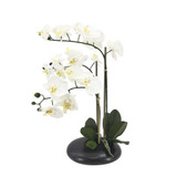 White Orchid with 3 Stems in Black Ceramic Pot (56cm H)