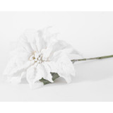 70cm Single Poinsettia White 
