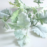 Long Stem Dusty Miller Spray Long Stem Dusty Miller Spray