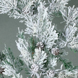 Snowy Pine Branch 