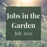 SERIES: Jobs in the Garden - July 2022