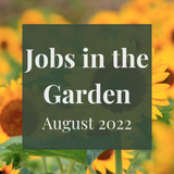 SERIES: Jobs in the Garden - August 2022