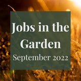 SERIES: Jobs in the Garden - September 2022