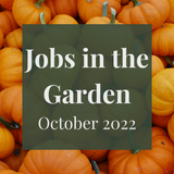 SERIES: Jobs in the Garden - October 2022