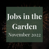 SERIES: Jobs in the Garden - November 2022