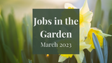 Jobs in the Garden: March 2023