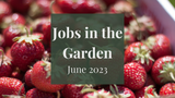 Jobs in the Garden: June 2023 Jobs in the Garden: June 2023