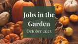 Jobs in the Garden: October 2023