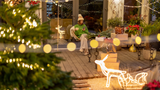 How to Make Your Garden Look Festive This Christmas