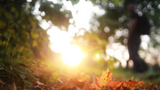End-of-Summer Garden Cleanup: Prepping Your UK Garden for Autumn