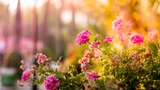 Jobs in the Garden: June 2024