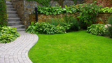 How to Create a Low-Maintenance Garden