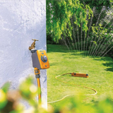 Golden Rules for Smart Garden Watering