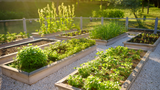 DIY Guide: How to Build Your Own Raised Garden Bed
