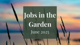 Jobs in the Garden: July 2025