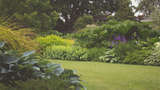 Choosing the Perfect Plants for Your Garden: A Comprehensive Guide