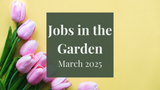 Jobs in the Garden: March 2025