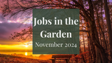 Jobs in the Garden: November 2024