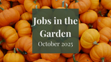 Jobs in the Garden: October 2024
