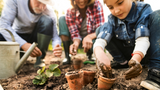 A Guide to Sustainable Gardening 