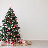 What to do with your Christmas Tree?