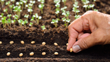 Propagation: What is it? What is the Method? We talk you through everything you need to know...