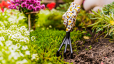 The British Gardener: Seasonal Tips for a Flourishing Garden