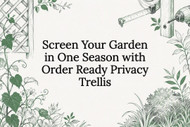 Screen Your Garden in One Season with Order Ready Privacy Trellis