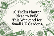 10 Trellis Planter Ideas to Build This Weekend for Small UK Gardens