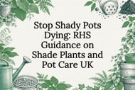 Stop Shady Pots Dying: RHS Guidance on Shade Plants and Pot Care UK