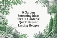 9 Garden Screening Ideas for UK Gardens: Quick Fixes to Lasting Hedges