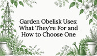 Garden Obelisk Uses: What They're For and How to Choose One