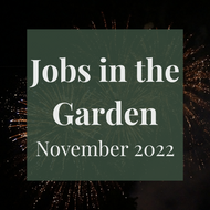 SERIES: Jobs in the Garden - November 2022