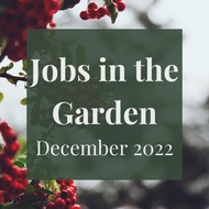 SERIES: Jobs in the Garden - December 2022