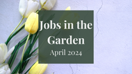 Jobs in the Garden: April 2024