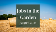 Jobs in the Garden: August 2024