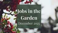 Jobs in the Garden: December 2025