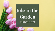Jobs in the Garden: March 2025