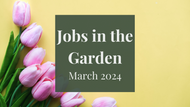 Jobs in the Garden: March 2024