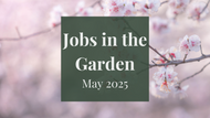 Jobs in the Garden May 2025