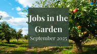 Jobs in the Garden: September 2025