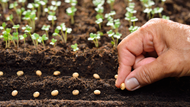 Propagation: What is it? What is the Method? We talk you through everything you need to know...