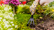 The British Gardener: Seasonal Tips for a Flourishing Garden