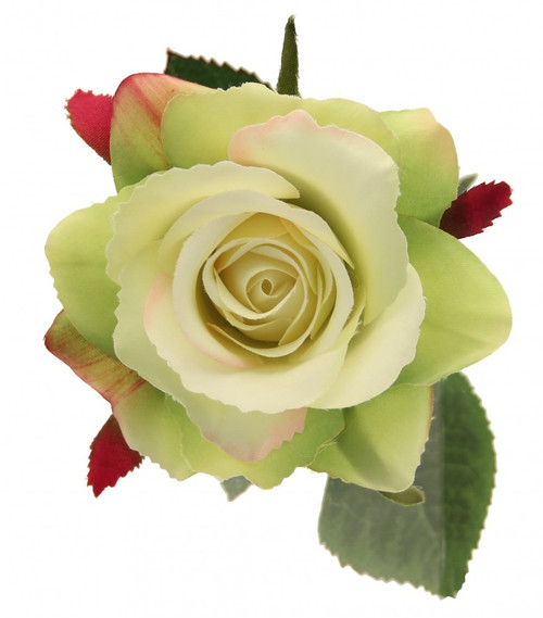 Rose Light Green  - Discontinued