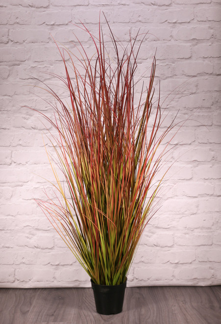 Potted Bronze Stipa Grass (122cm) Potted Bronze Stipa Grass (122cm)